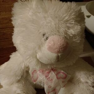 White Plush Teddy Bear with Pink Accents